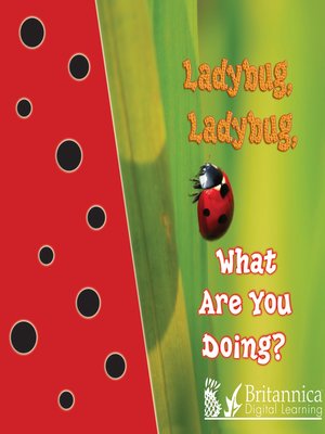 cover image of Ladybug, Ladybug, What Are You Doing?